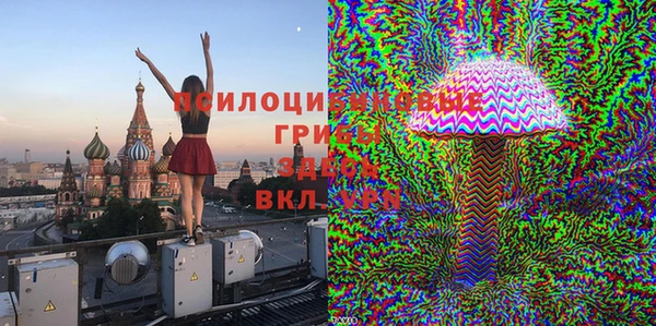 трава Лабытнанги