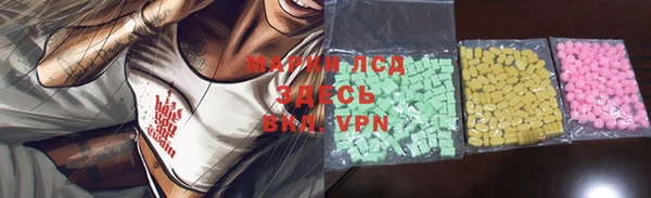 ECSTASY Лагань