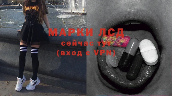 ECSTASY Лагань