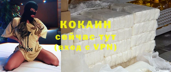 ECSTASY Лагань