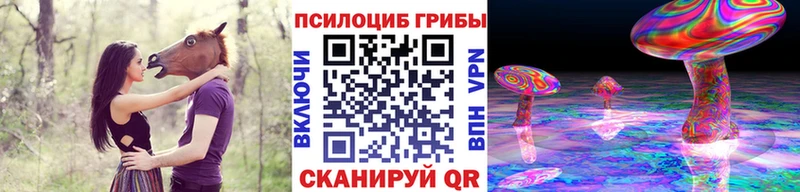 где купить наркоту Горячеводский Галлюциногенные грибы ЛСД
